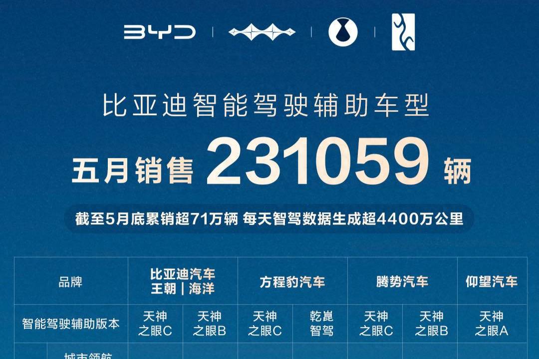 智駕市場格局生變，比亞迪憑超23萬輛銷量強勢領跑