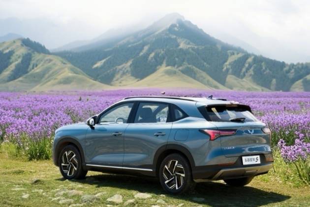 十萬SUV車型推薦，這幾款口碑不錯，新能源、燃油車都有