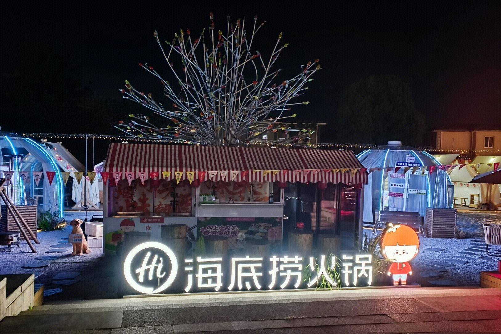 海底撈“降維”求生？