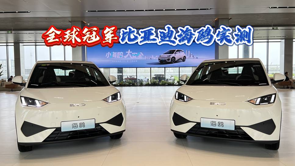 螺螄殼做道場，高危場景有本領！全球冠軍比亞迪海鷗實測