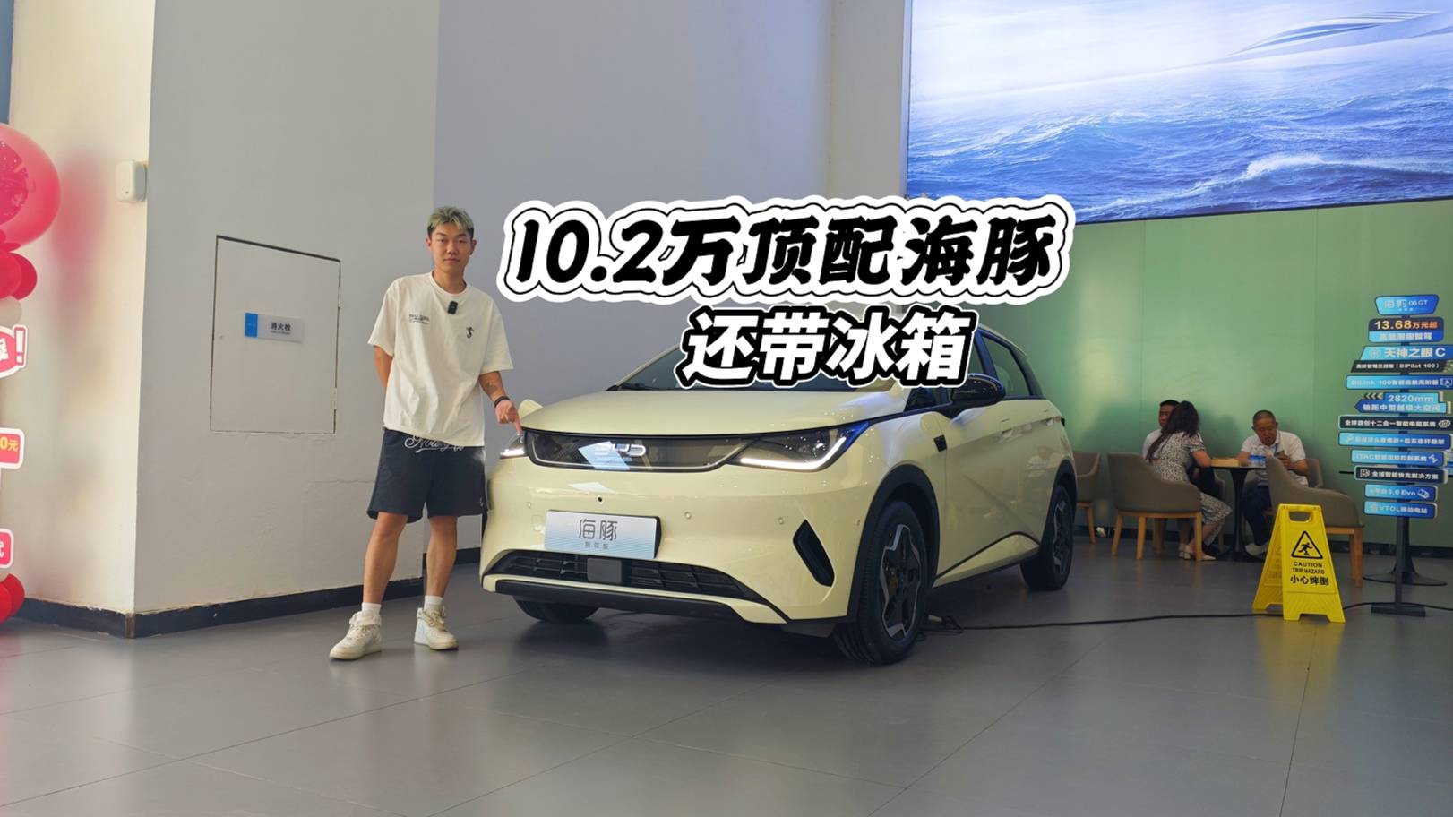 10.2萬買頂配海豚，還帶冰箱，40℃的夏天誰看了不迷糊？