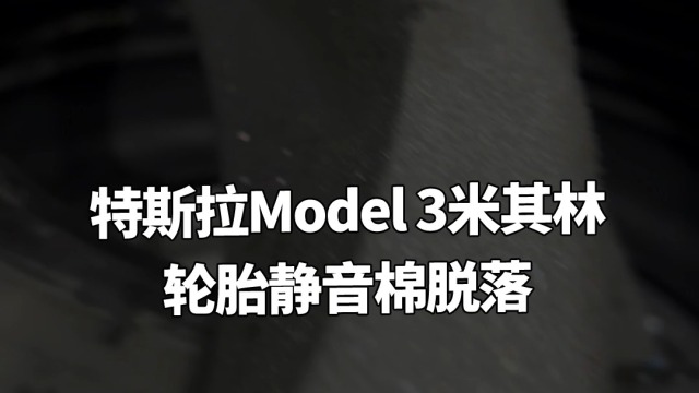 特斯拉Model 3米其林轮胎静音棉脱落