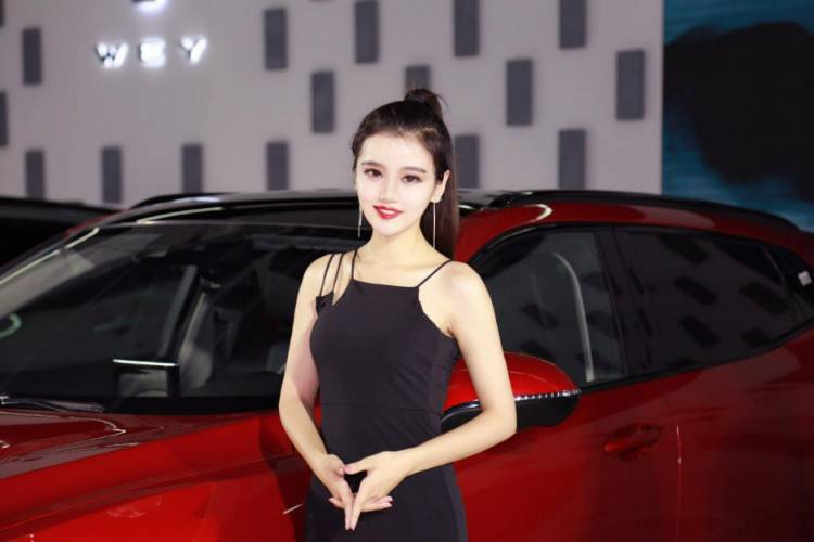 2025第九屆中部(武漢)國際汽車博覽會(huì)即將開幕