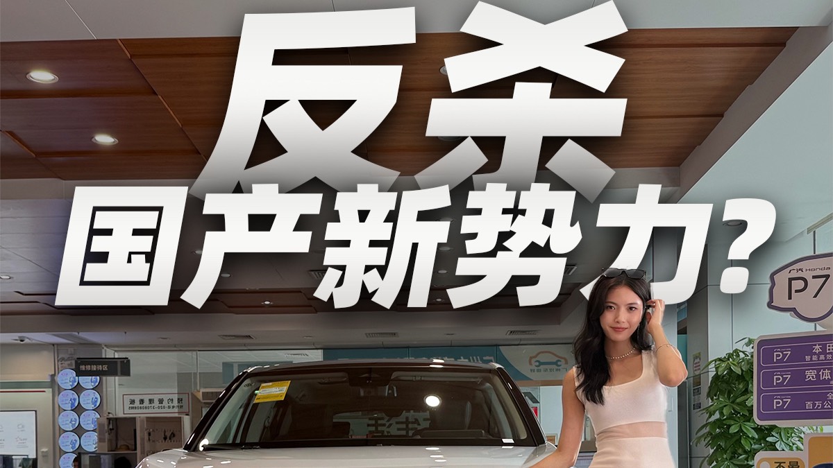 19.99万起就能反杀国产新势力吗？