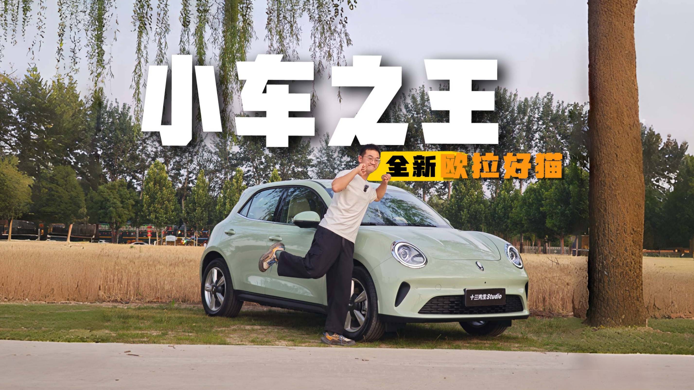 欧拉好猫终极进化，捕获直男的少女心