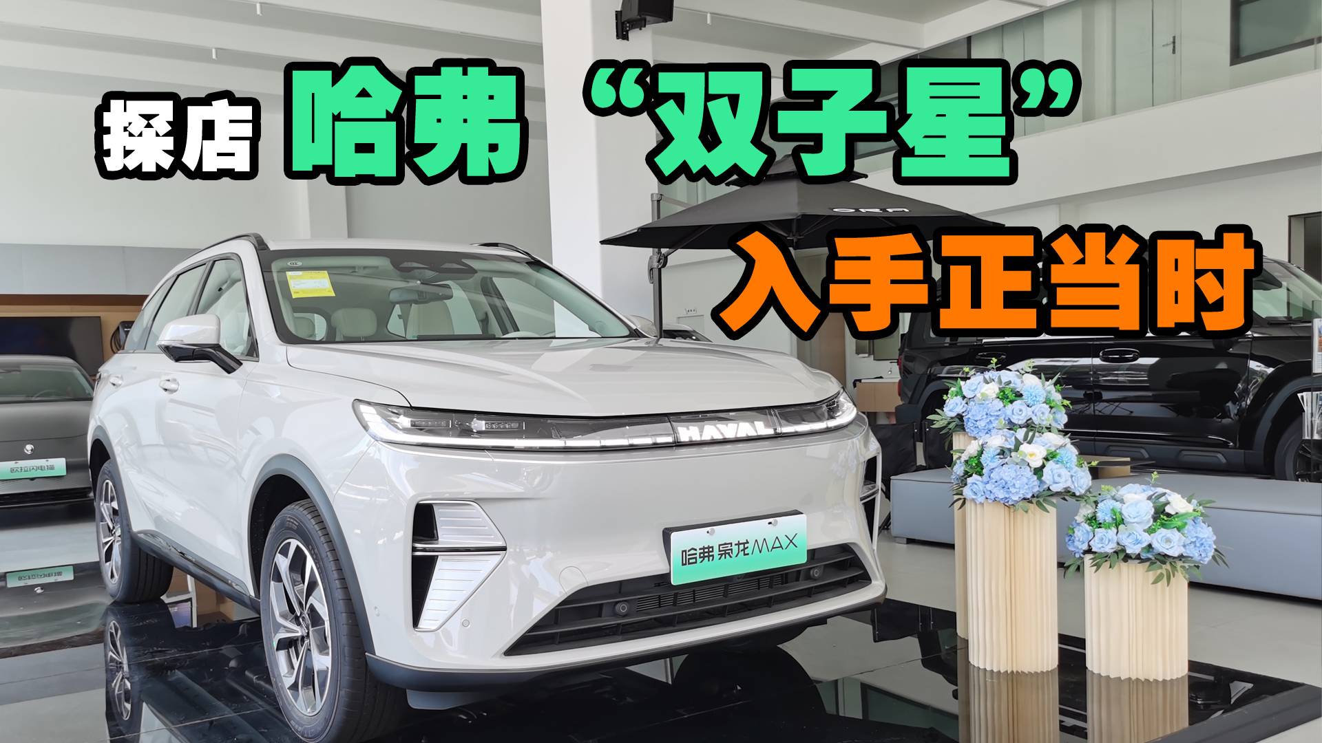 探店哈弗“雙子星”，入手正當(dāng)時