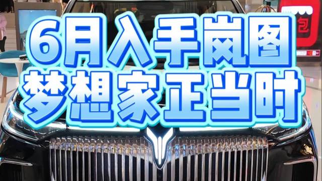 6月入手岚图梦想家正当时