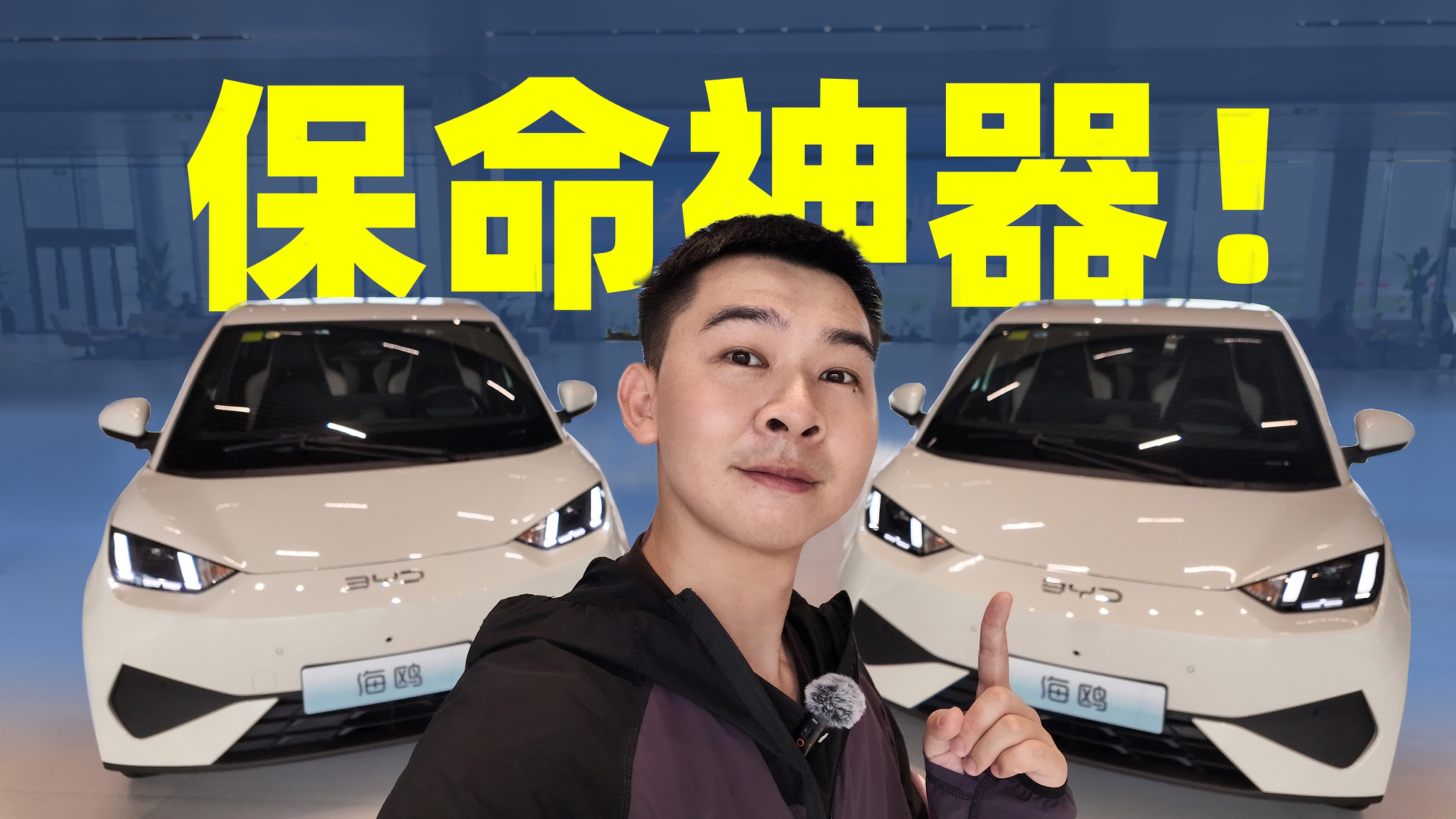 新手第一臺車？選海鷗，它真能剎??！