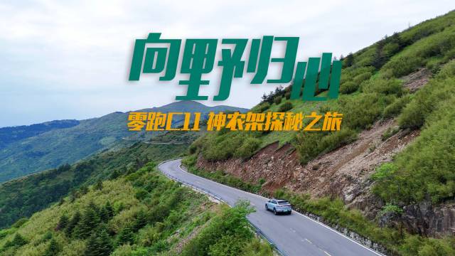 向野归心 零跑C11神农架探秘之旅先导片