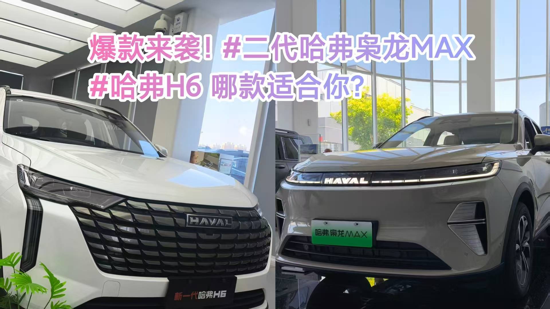 二代哈弗梟龍MAX or 哈弗H6國(guó)民好車 哪款適合你？