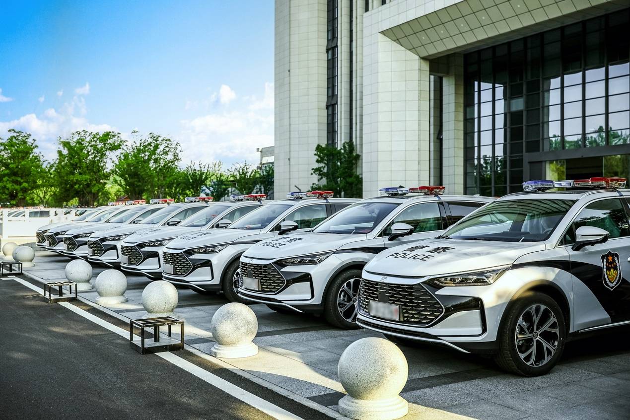 2025年比亞迪穩(wěn)居政府采購新能源車冠軍位置