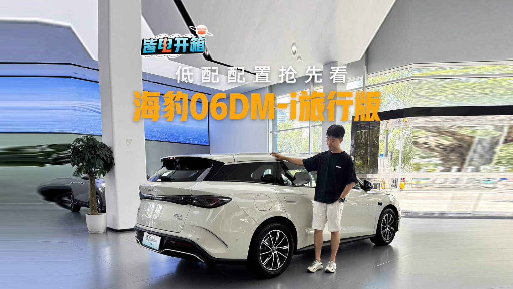 全網首發(fā)！海豹06DM-i旅行版入門款搶先看