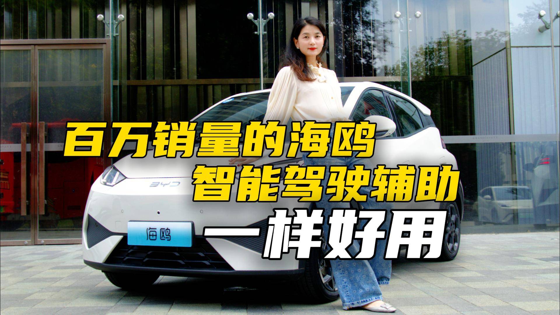 百萬銷量的海鷗，智能駕駛輔助一樣好用