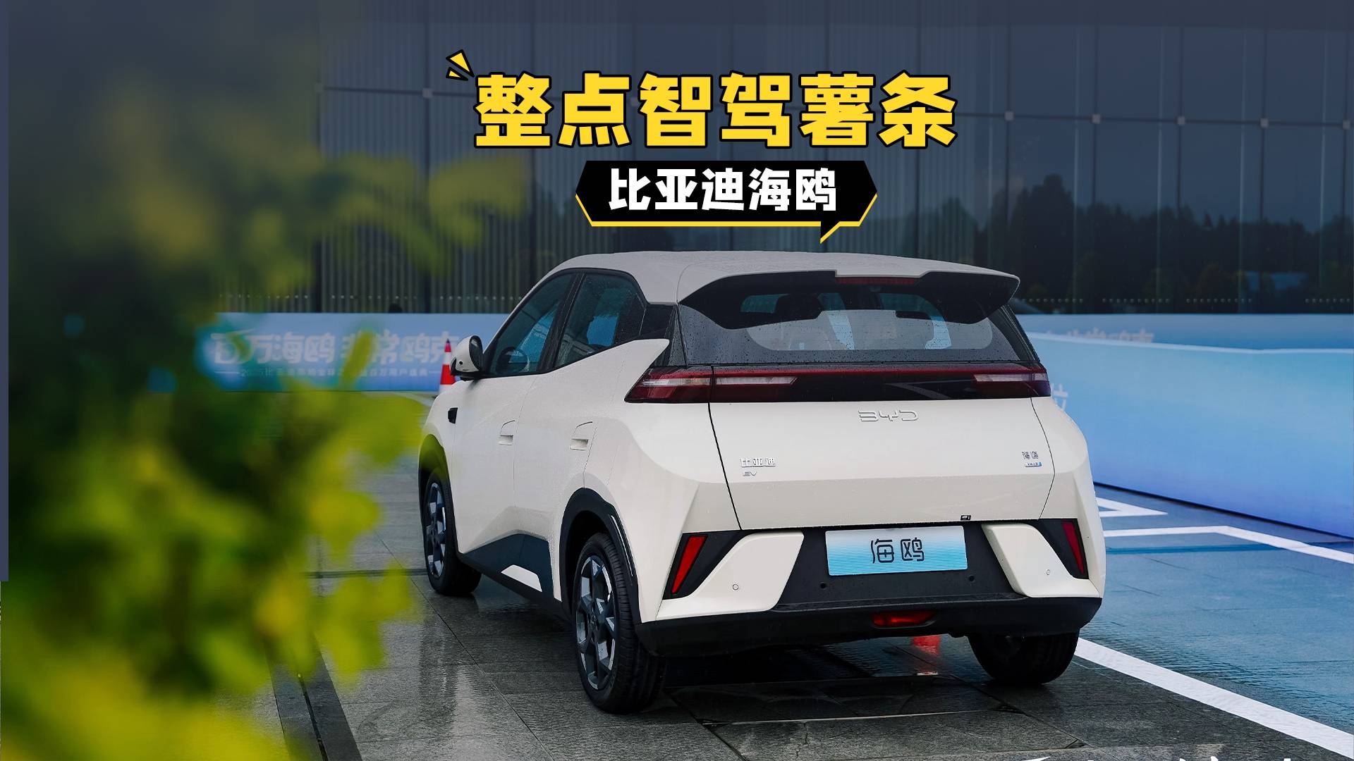 比亞迪海鷗，A00級小車也要智駕平權(quán)