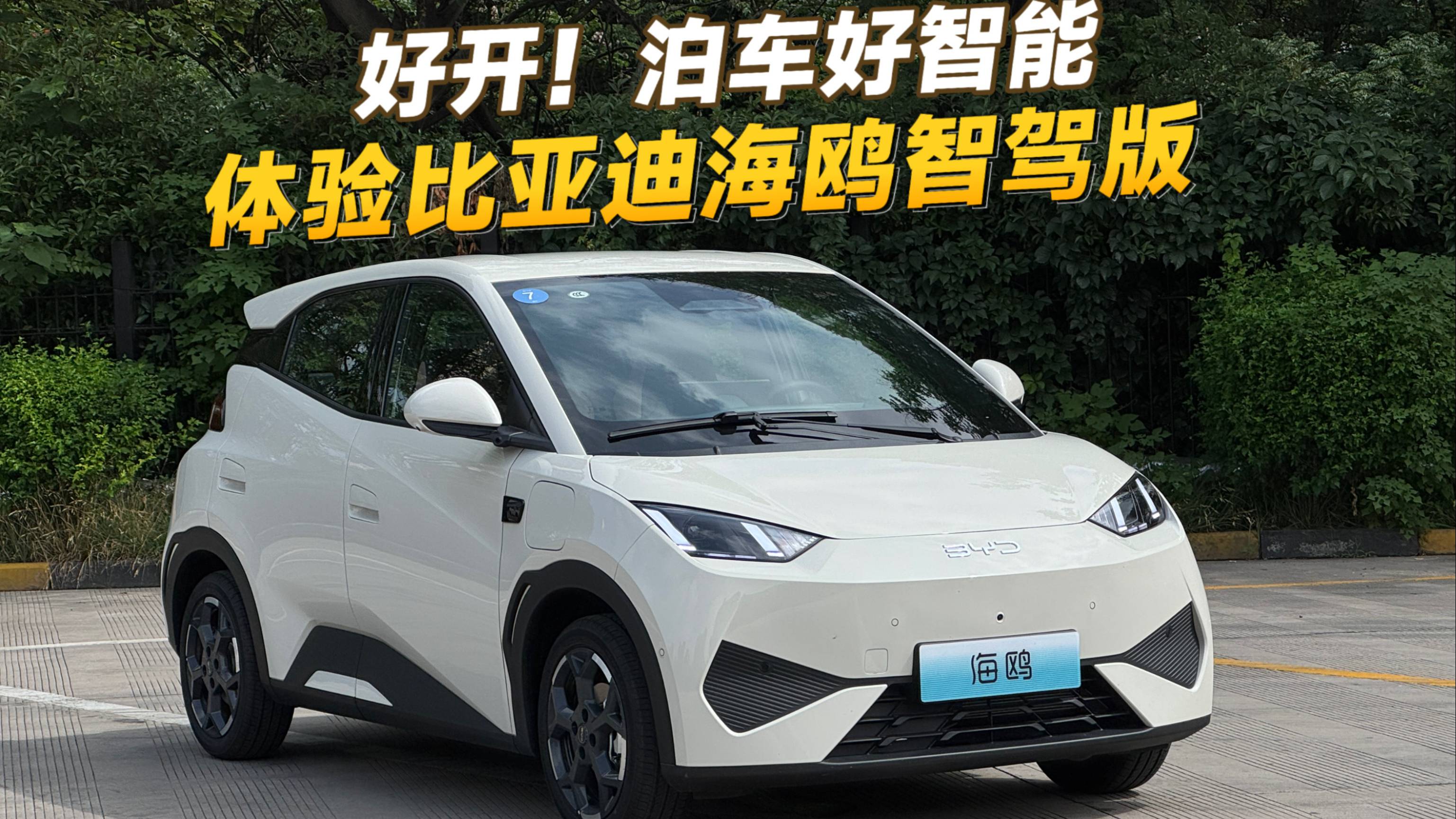 好開(kāi)！泊車好智能，體驗(yàn)比亞迪海鷗智駕版
