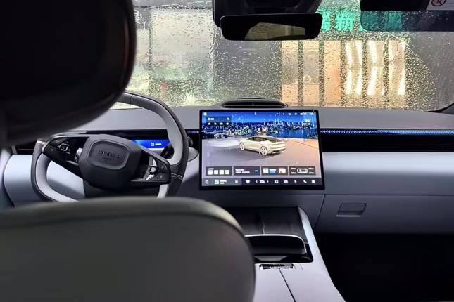 暴雨天開車最怕啥？水坑深淺摸不清？繞行或停車最聰明！