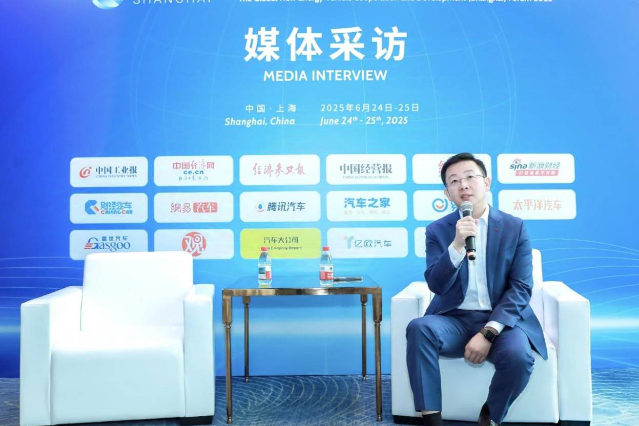德國汽車工業協會張琳:德企在華發展進入“合資合作2.0時代”