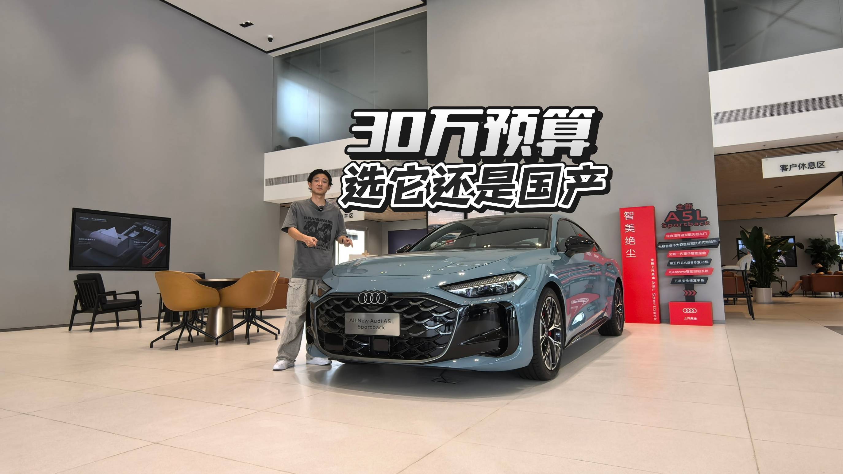 这可不是花钱买车标，30万预算选国产还是A5L