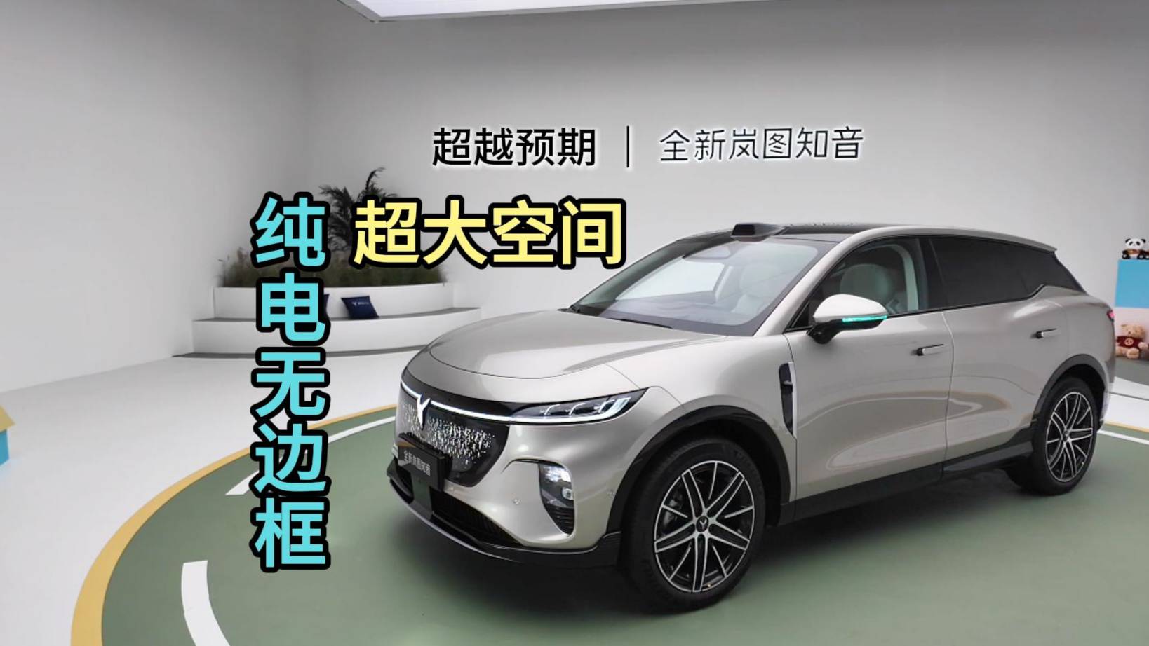 微調(diào)成功的嵐圖知音