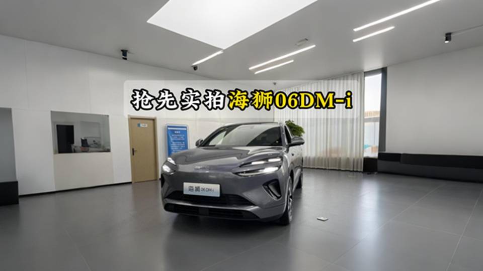 搶先實拍海獅06DM-i