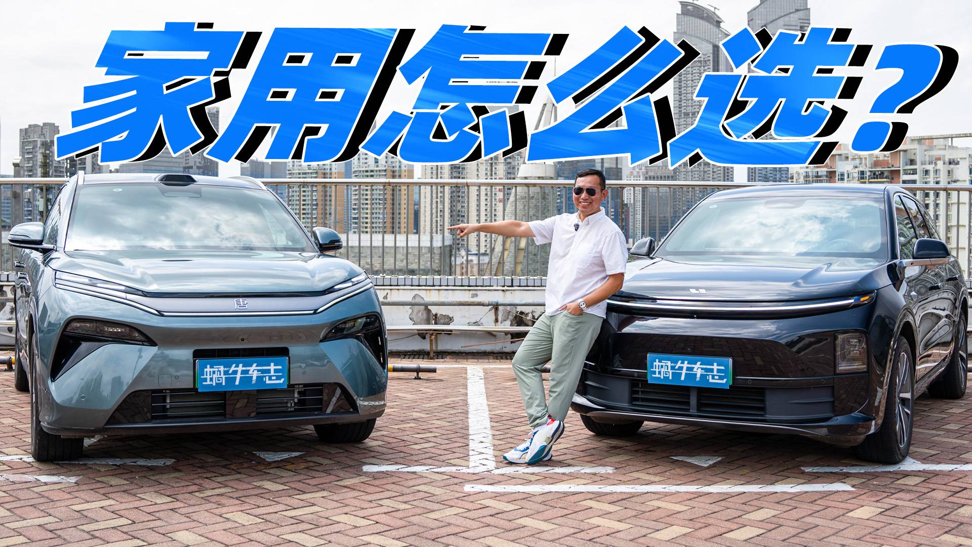 都是實(shí)用型選手取向差異這么大？比亞迪唐L DM VS理想L6