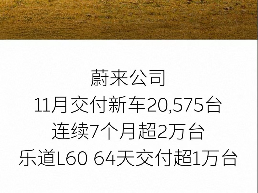 11月新势力销量：理想领先却略显疲态 零跑势头迅猛成黑马