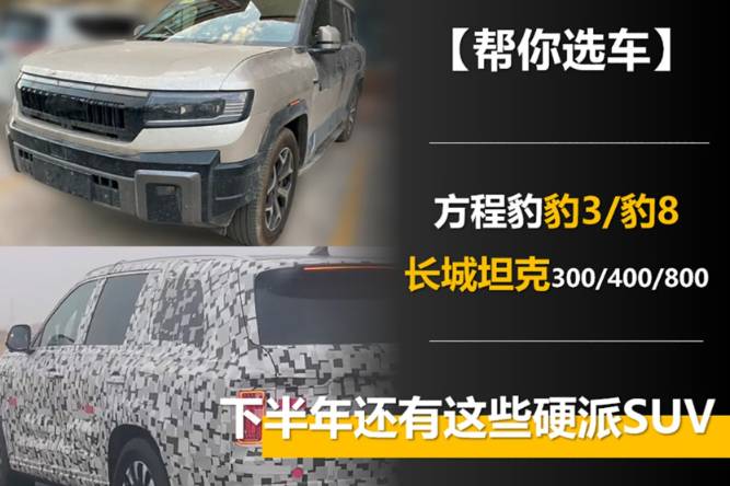 方程豹豹3/长城坦克300领衔 下半年还有这些硬派SUV