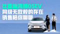 ͬ޵аڣеıǵϺʨ05EV