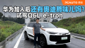 ΪаµζԼQ6L e-tron