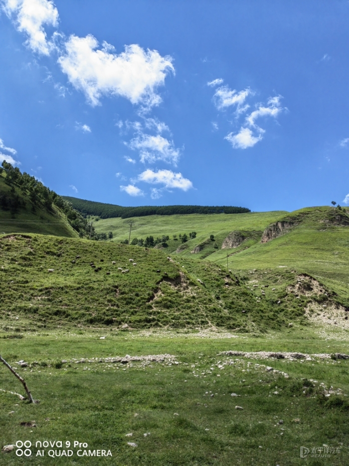 张家口空中草原风景区图片