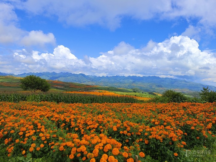 蒙自市西北勒乡图片