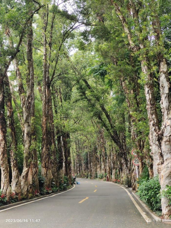 福州龙潭风景区在哪里图片