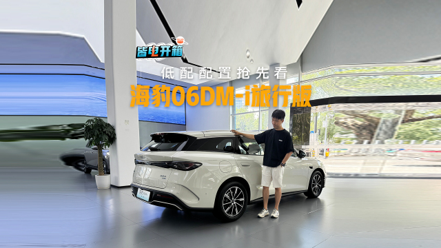 全网首发！海豹06DM-i旅行版入门款抢先看
